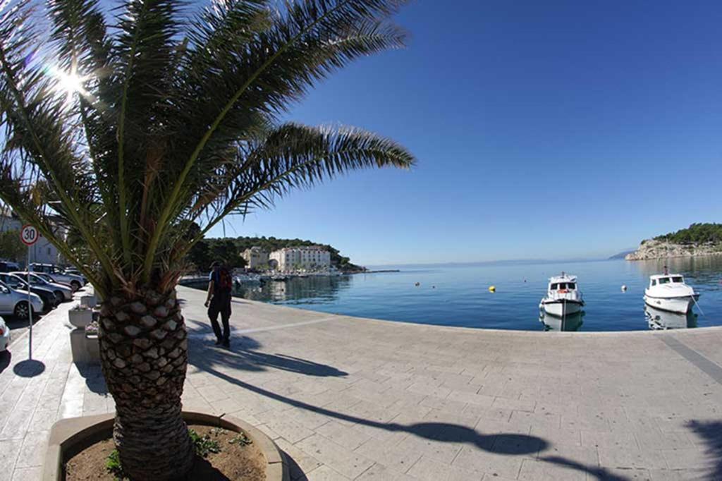 Bekavac Osejava Makarska