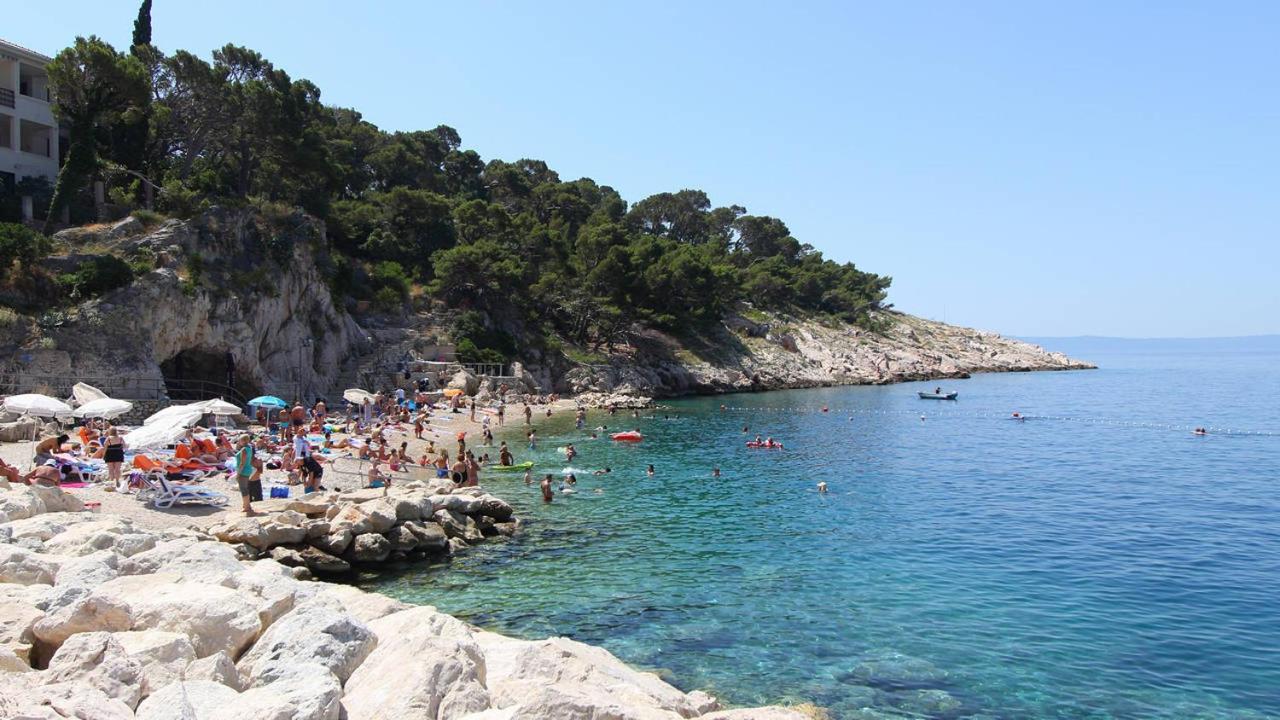 Bekavac Osejava Makarska